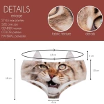 PTC 46728 Maine Coon