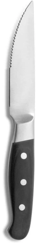 Μαχαίρι Κρέατος Acongagua CO07445000 25,8cm Silver-Black Comas Μέταλλο