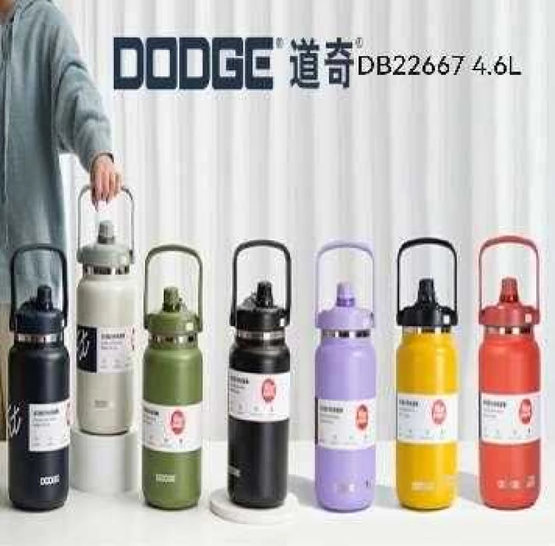 ΦΟΡΗΤΟ ΠΑΓΟΥΡΙ-ΘΕΡΜΟΣ - DB22667 - 4.6L - 833855