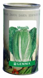 Μαρούλι Romana χειμωνιάτικο 500g