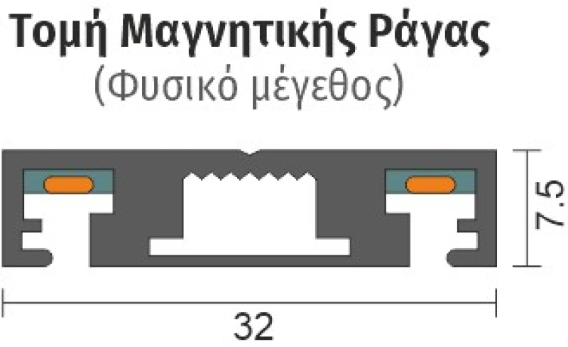 Spotlight ΡΑΓΑ ΜΑΓΝΗΤΙΚΗ 2M (6650)