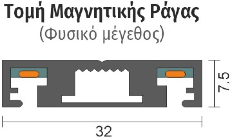 Spotlight ΡΑΓΑ ΜΑΓΝΗΤΙΚΗ 2M (6651)