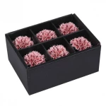 6 ΔΑΧΤΥΛΙΔΙΑ ΠΕΤΣΕΤΑΣ   Carnation