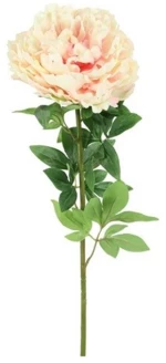 Κλαδί παιώνια ροζ Η73cm