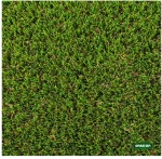 GRASHER Χλοοτάπητας Πλαστικός 30mm 2x10m