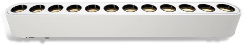Adeleq Φωτιστικό Ράγας Mini Ντιμαριζόμενο LED 12W 40VDC 4000K Λευκό 22-2301
