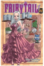 FAIRY TAIL 14