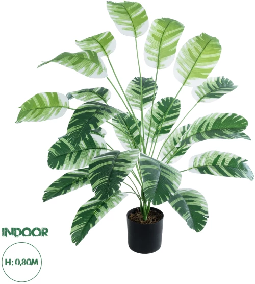 GloboStar® Artificial Garden BANANA ZEBRA 20918 Διακοσμητικό Φυτό Μπανανιά Ζέβρα Υ80cm