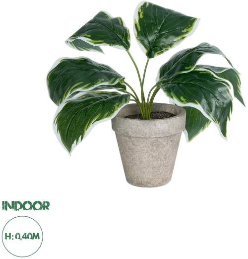 GloboStar® Artificial Garden WHITE HOSTA 20900 Διακοσμητικό Φυτό Λευκή  Χόστα Υ40cm