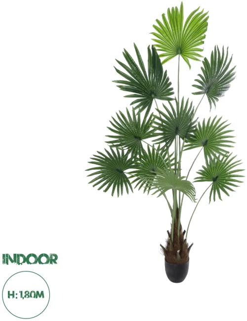 GloboStar® Artificial Garden SERENOA PALM PLANT 20972 Διακοσμητικό Φυτό Φοίνικα Σερενόα Φ103 x Υ180cm