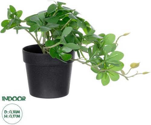 GloboStar® Artificial Garden SCHEFFLERA PLANT 20954 Διακοσμητικό Φυτό Σεφλέρα Φ18 x Υ17cm