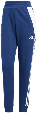 Puma teamFINAL Training men's trousers black 657380 03