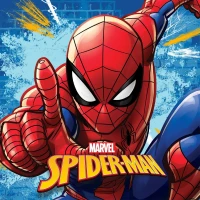 Λαβέτα Νηπιαγωγείου 30x30 Spiderman 70 Sky Blue 100% Polyester Disney Home
