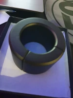 Chastity Device Metal Magnetic
