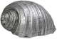 Διακοσμητικό Κοχύλι MT2732K4 11,5x9x6,5cm Silver Espiel Πολυρεσίνη
