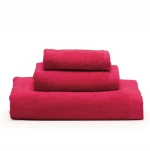 Πετσέτα Brand Cherry Kentia Λαβέτα 30x30cm 100% Βαμβάκι