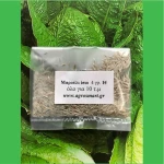 Μαρούλι Ίσιο Paris Island 100gr