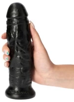 Diego Black Dildo