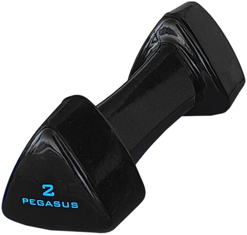 Τρίγωνος Αλτήρας Vinyl 2kg Pegasus® PG-1005 393600502