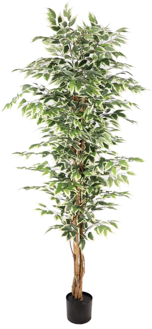 Supergreens Τεχνητό Δέντρο Φίκος "Benjamina Variegata" Πράσινο 180 εκ.