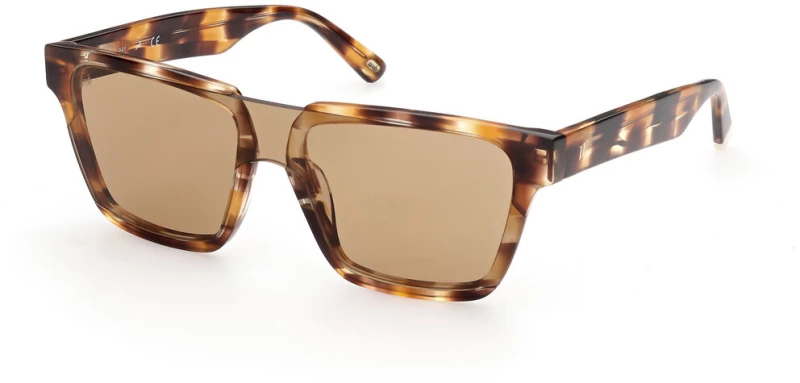 Ανδρικά Γυαλιά Ηλίου Web Eyewear WE0314-0041F