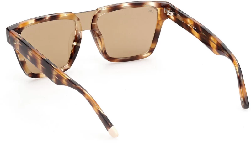 Ανδρικά Γυαλιά Ηλίου Web Eyewear WE0314-0041F