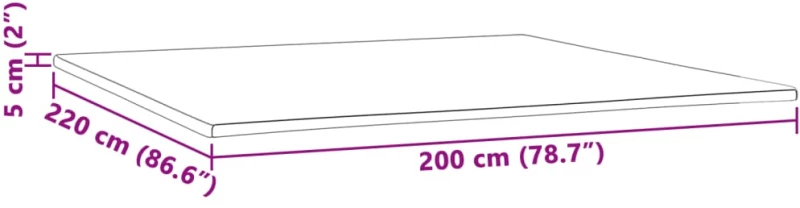 vidaXL Ανώστρωμα 200x220x5 εκ.