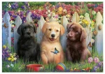 Παζλ Educa Doggies 100 Τεμάχια