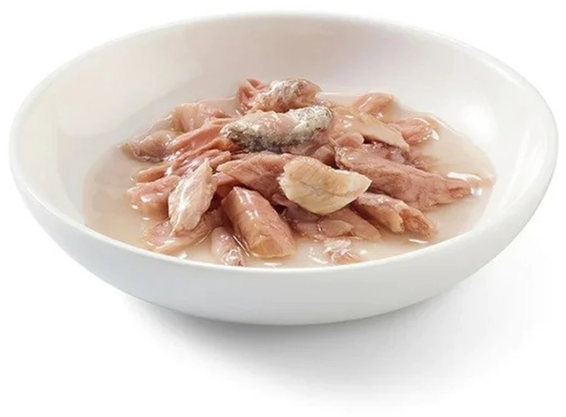Γατοτροφή SCHESIR Ψάρια 70 g
