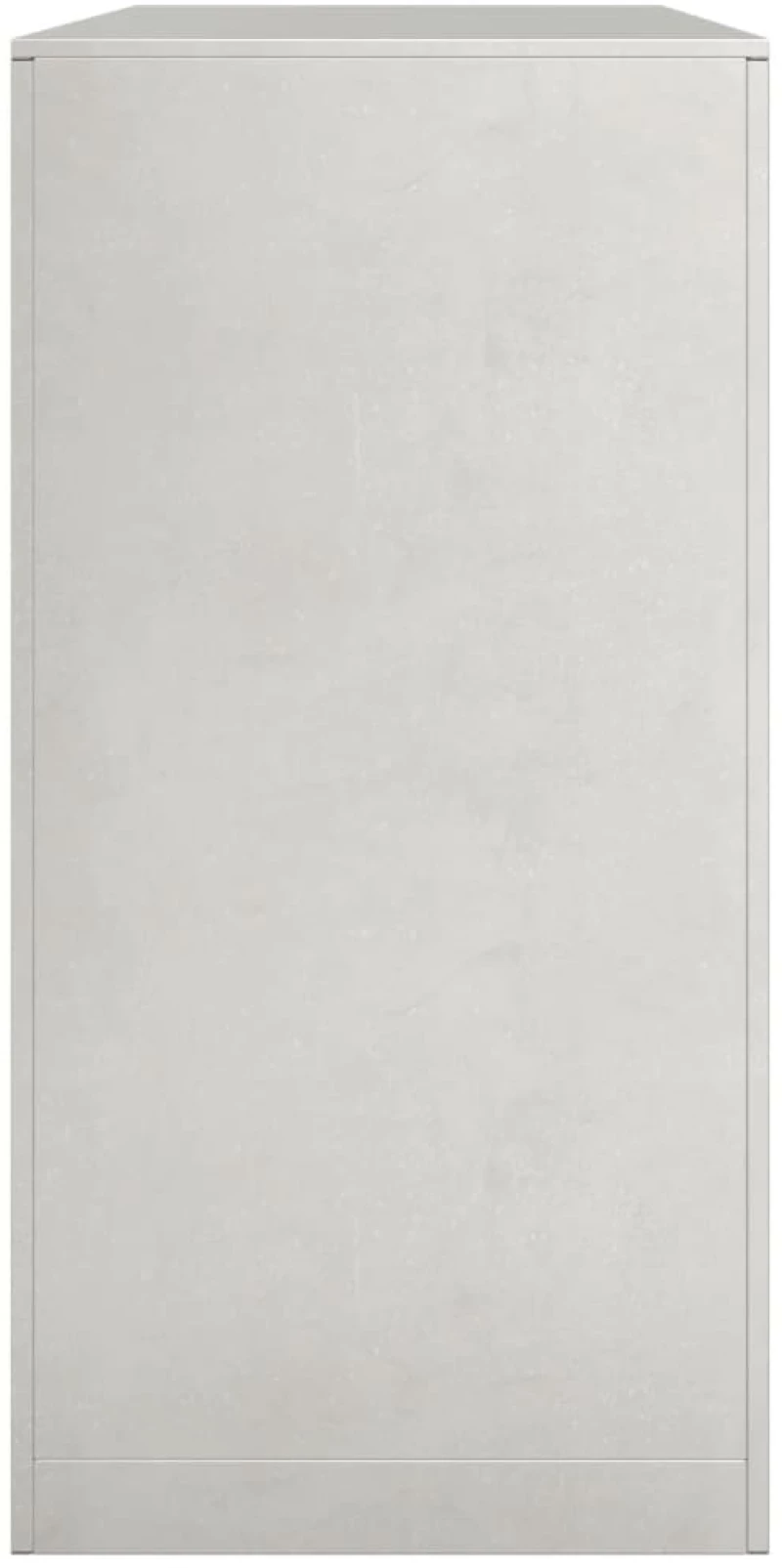 vidaXL Ραφιέρα Καυσόξυλων 100x40x80 εκ. από Ανοξείδωτο ατσάλι