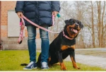 Max And Molly Μπρελόκ Ethnic