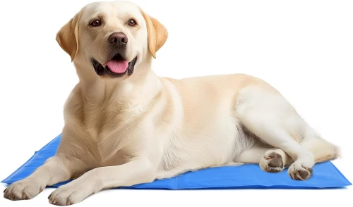 Navaris Textilene Pet Cooling Mat - Στρώμα Ψύξης για Κατοικίδια με Ανθεκτικό Κάλυμμα Textiline - 81 x 96 cm - Blue (NAV0000272N003C)