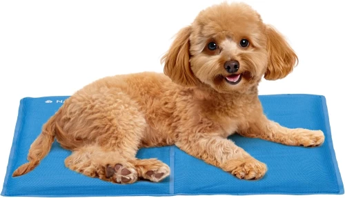 Navaris Textilene Pet Cooling Mat - Στρώμα Ψύξης για Κατοικίδια με Ανθεκτικό Κάλυμμα Textiline - 40 x 50 cm - Blue (NAV0000272N001C)