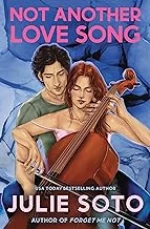 Not Another Love Song