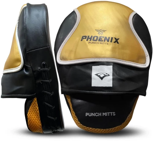 Στόχοι Προπόνησης EBX Phoenix Mitts
