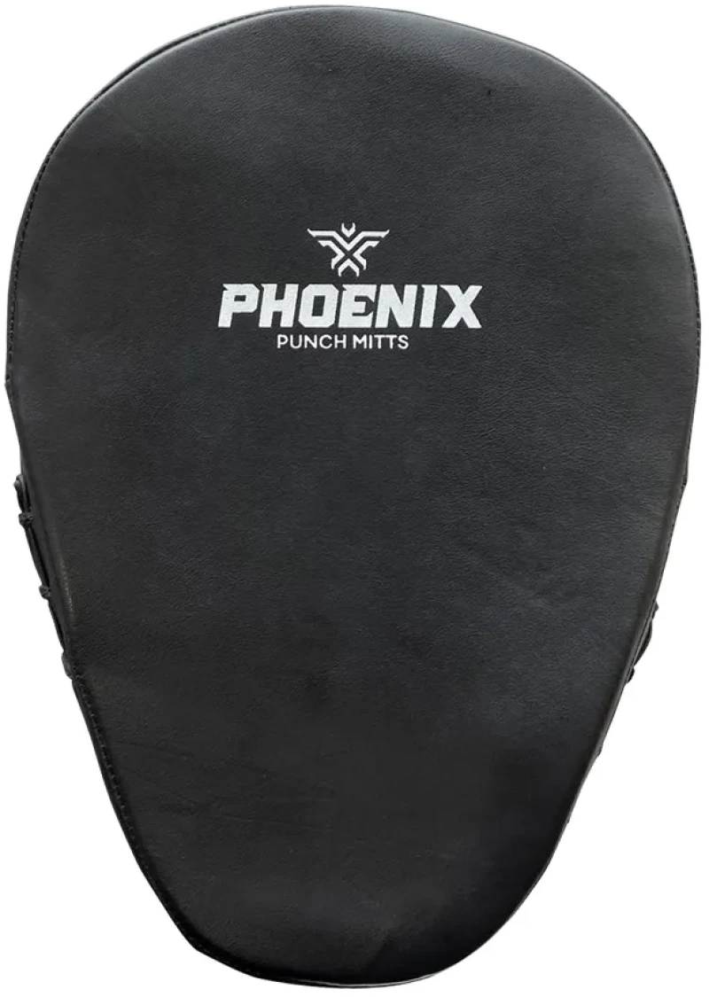 Στόχοι Προπόνησης EBX Phoenix Mitts