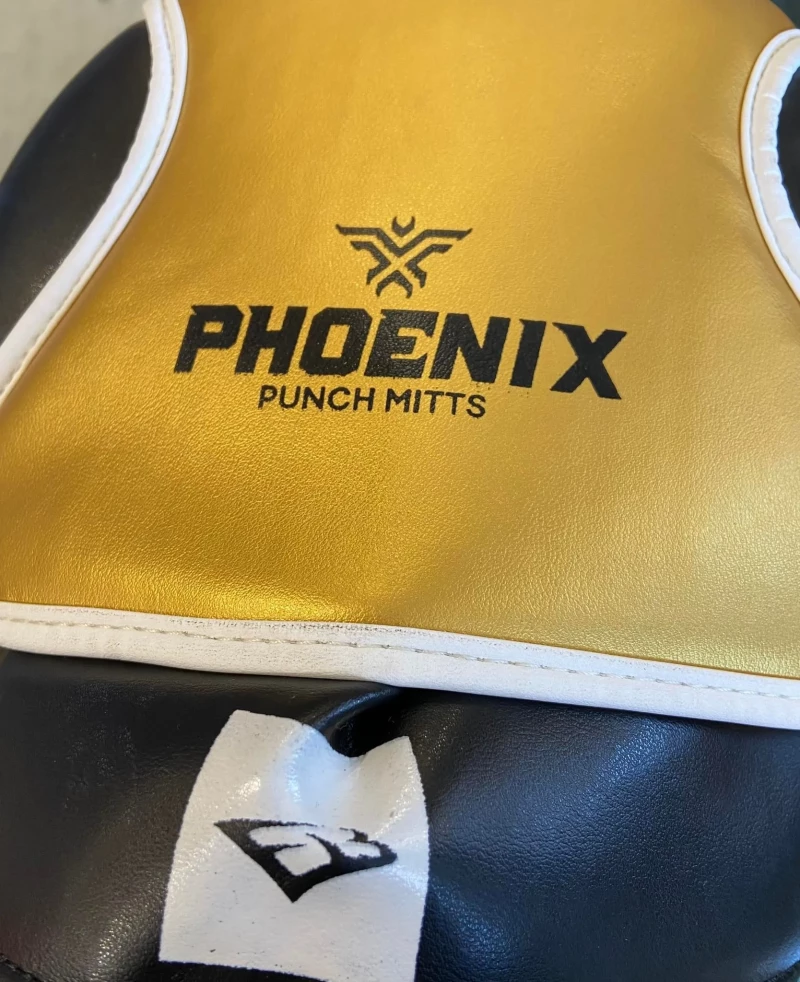 Στόχοι Προπόνησης EBX Phoenix Mitts