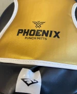 Στόχοι Προπόνησης EBX Phoenix Mitts