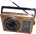 Επαναφορτιζόμενο ραδιόφωνο - PX-101BT - 020023 - Gold 020023_g
