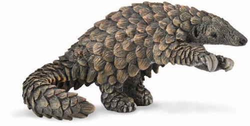 COLLECTA ΠΑΓΚΟΛΙΝΟΣ- PR-88995