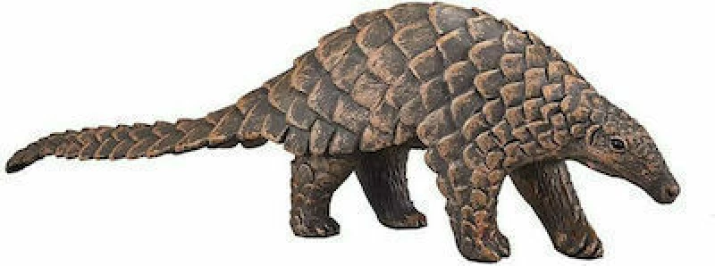 COLLECTA ΠΑΓΚΟΛΙΝΟΣ- PR-88995