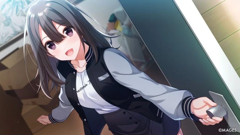 Since Memories / Nintendo Switch