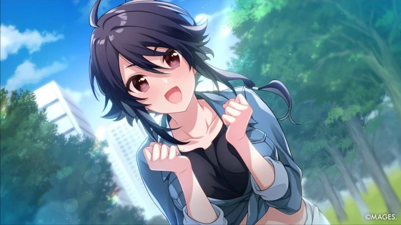 Since Memories / Nintendo Switch