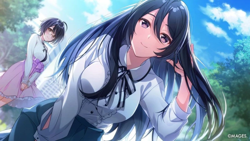 Since Memories / Nintendo Switch