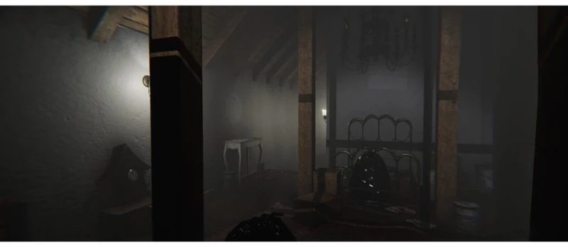 MADiSON - Possessed Edition / PlayStation 4