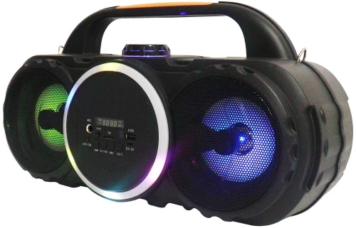 Finlux PAS-2410MBF Ηχείο με λειτουργία Karaoke σε Μαύρο Χρώμα
