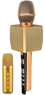Σετ ασύρματο μικρόφωνο Karaoke με ηχείο & mini μικρόφωνο - YS-98 - 885291 - Gold