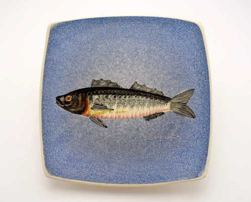 Πιάτο Τετράγωνο Κεραμικό Χειροποίητο Λαβράκι Μπλε - 20cm