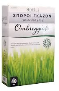 Γκαζόν Σκιάς (Ombreggiato) 1Kg