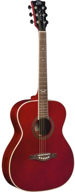 Eko Guitars NXT A100STR